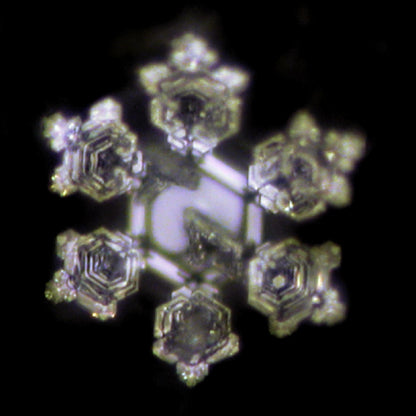 Alchimator (Sauerstoff & Mineralisierung)
